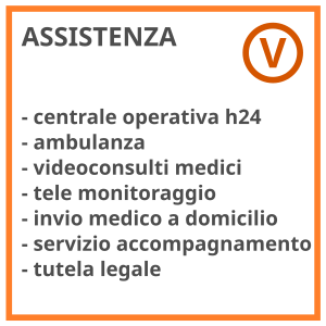 2023 RSM PPAA ARANCIO 3 Assistenza